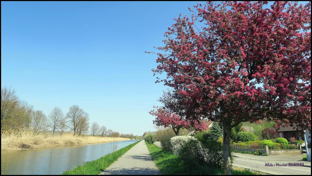 Villa Bonheur Illfurth Alsace 4 Chambres מראה חיצוני תמונה