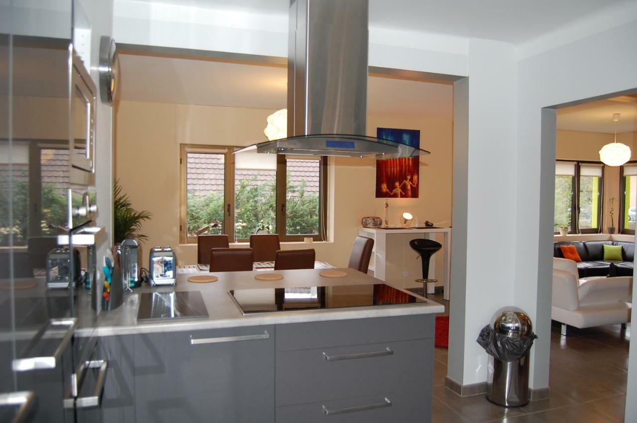Villa Bonheur Illfurth Alsace 4 Chambres מראה חיצוני תמונה