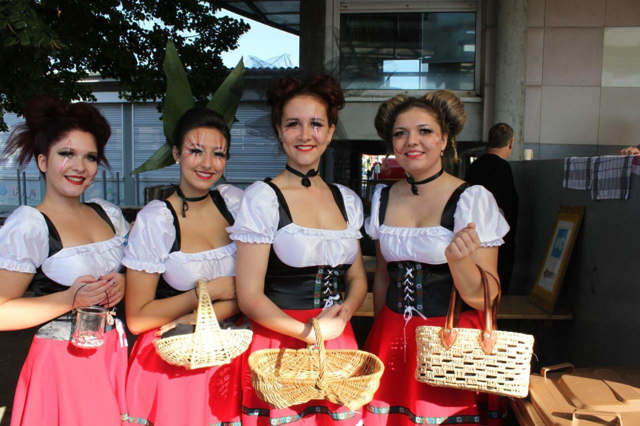 Villa Bonheur Illfurth Alsace 4 Chambres מראה חיצוני תמונה