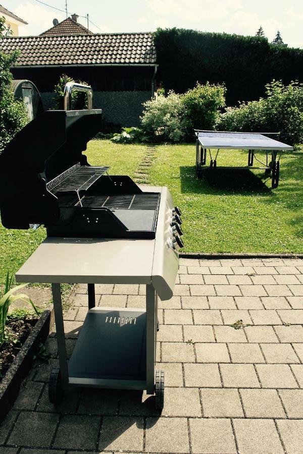 Villa Bonheur Illfurth Alsace 4 Chambres מראה חיצוני תמונה